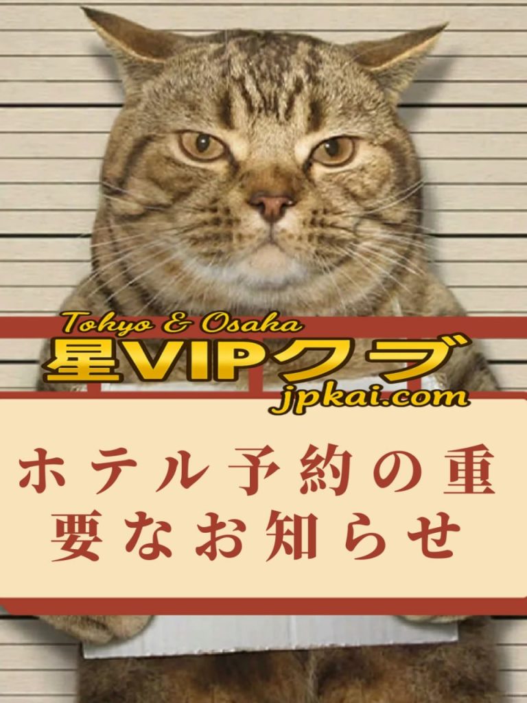 photo 2025 10 20 01 41 41